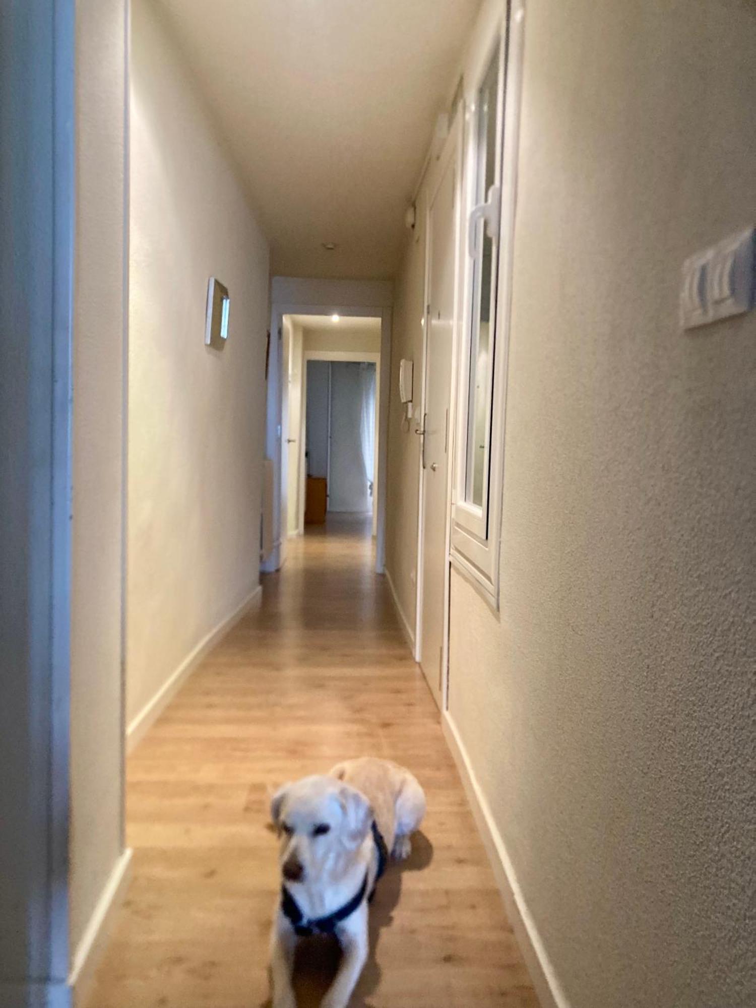 Apartamento San Gregorio Pamplona Luaran gambar